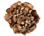 mini_oozy_boozy_caramel_chocolate_truffl.png mini_oozy_boozy_caramel_chocolate_truffl.png